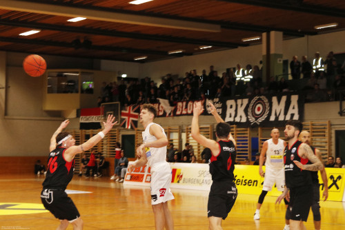 _MG_3131.jpg