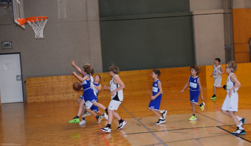 DSC_0006--01.jpg